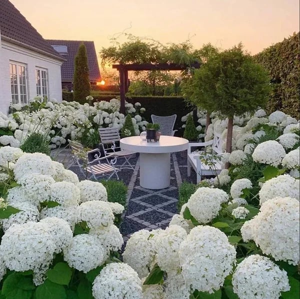 OFF-Outdoor Artificial Hydrangea Flowers💐