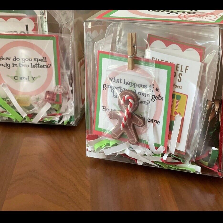 🎄Christmas Pre-Sale 49% OFF🎄2024 NEW Elf 24 Day Elf Kit of Christmas