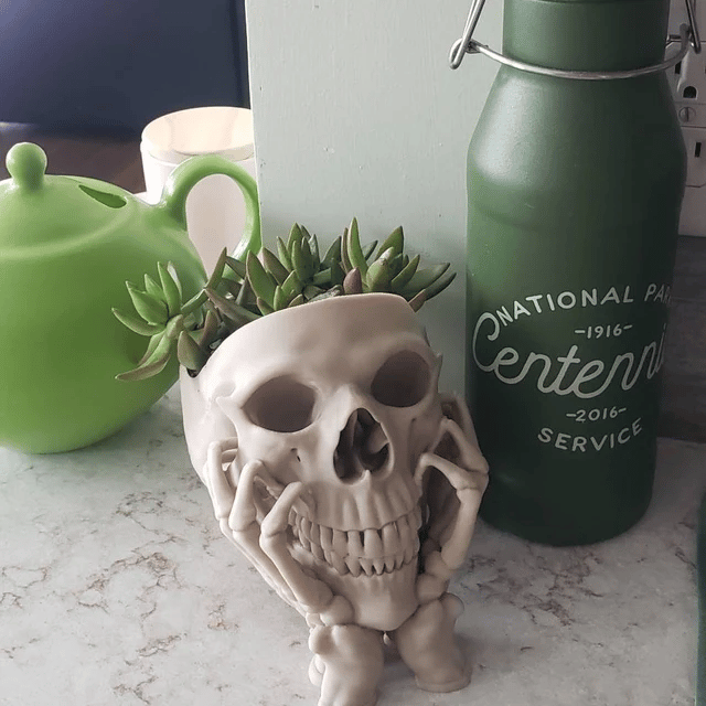 Happy Skull Horror Planter - Unique Plant Pot, Witchy/Goth Decor Bedroom & Home
