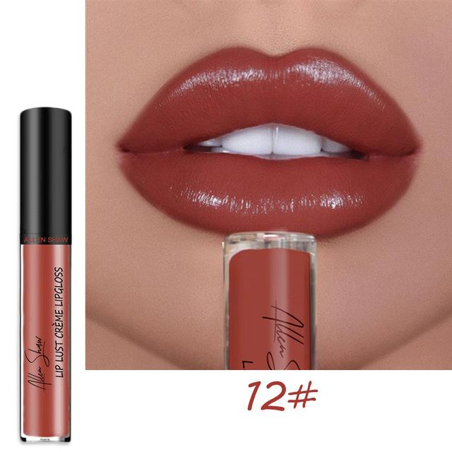 ourhomemarketTM-12 COLOR WATERPROOF LONG LASTING MOIST LIP GLOSS PLUMPER LIQUID LIPSTICK