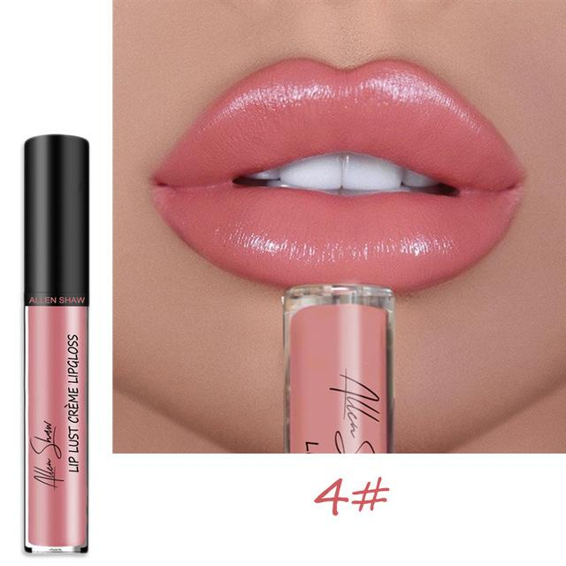 ourhomemarketTM-12 COLOR WATERPROOF LONG LASTING MOIST LIP GLOSS PLUMPER LIQUID LIPSTICK
