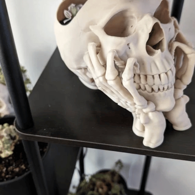 Happy Skull Horror Planter - Unique Plant Pot, Witchy/Goth Decor Bedroom & Home