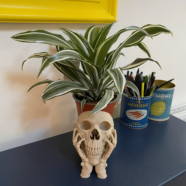 Happy Skull Horror Planter - Unique Plant Pot, Witchy/Goth Decor Bedroom & Home