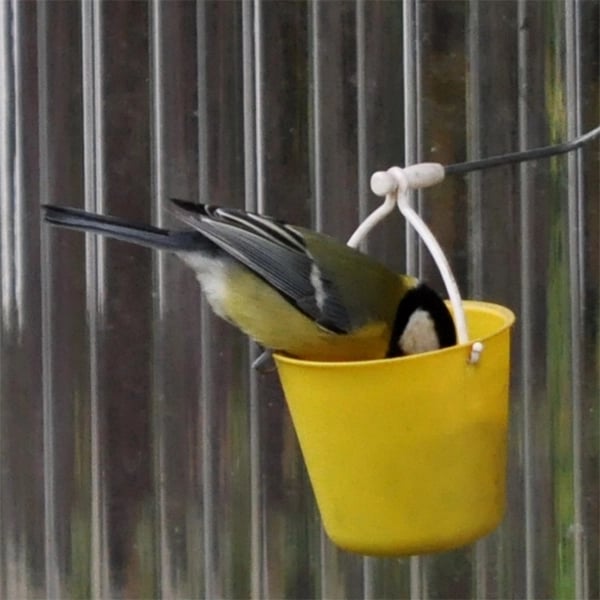 -Ferris Wheel Bird Feeder 🐦
