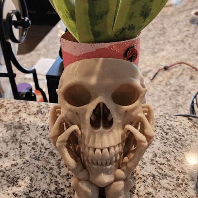 Happy Skull Horror Planter - Unique Plant Pot, Witchy/Goth Decor Bedroom & Home