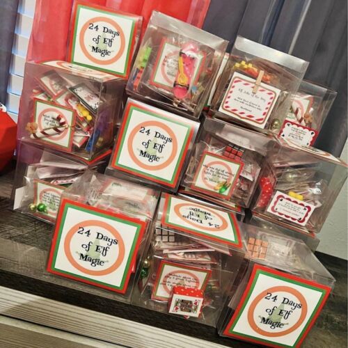 🎄Christmas Pre-Sale 49% OFF🎄2024 NEW Elf 24 Day Elf Kit of Christmas