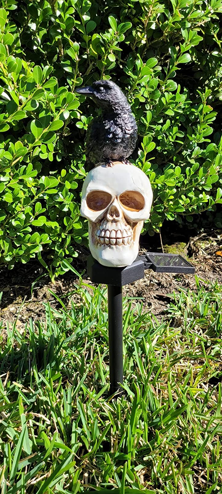 Crow Skull Solar Garden Light, Waterproof and Realistic Outdoor Decoration