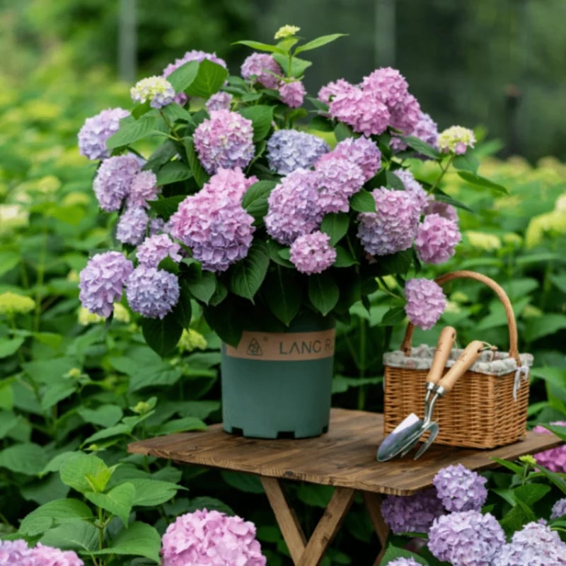 OFF-Outdoor Artificial Hydrangea Flowers💐
