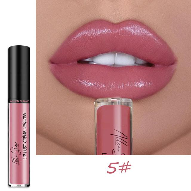 ourhomemarketTM-12 COLOR WATERPROOF LONG LASTING MOIST LIP GLOSS PLUMPER LIQUID LIPSTICK