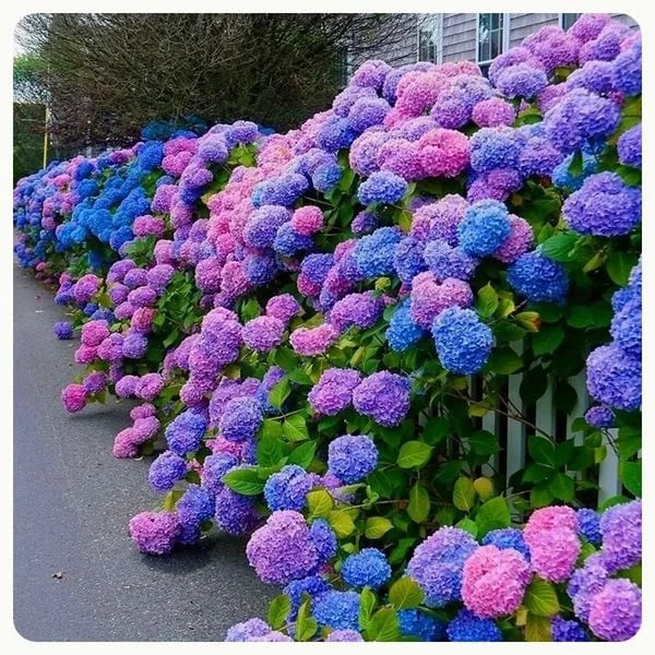OFF-Outdoor Artificial Hydrangea Flowers💐