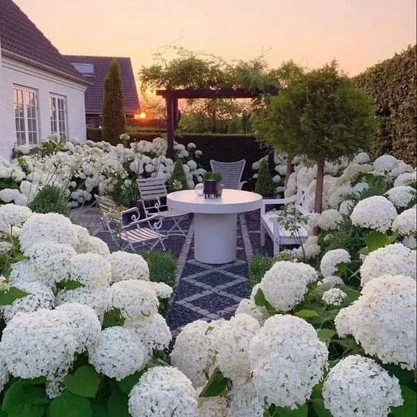 OFF-Outdoor Artificial Hydrangea Flowers💐
