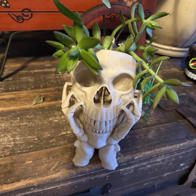 Happy Skull Horror Planter - Unique Plant Pot, Witchy/Goth Decor Bedroom & Home