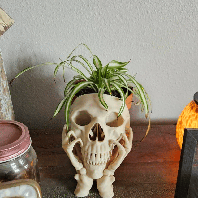 Happy Skull Horror Planter - Unique Plant Pot, Witchy/Goth Decor Bedroom & Home