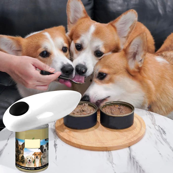🔥Summer Promotion 49% OFF - Automatic Can Opener