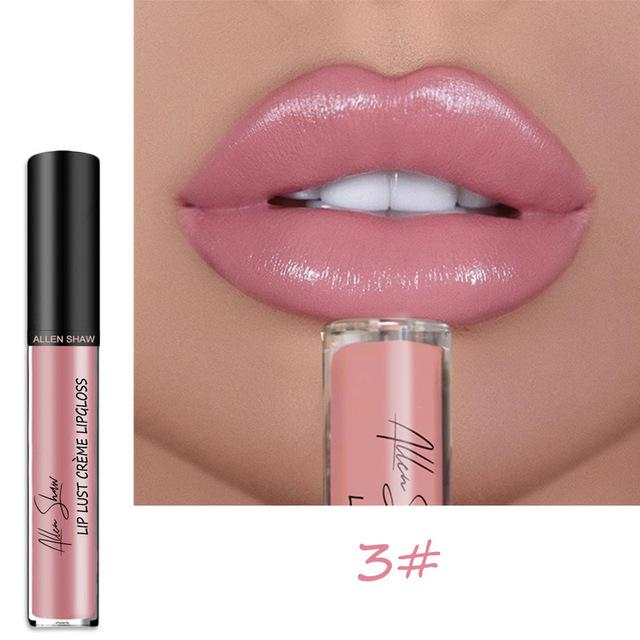 ourhomemarketTM-12 COLOR WATERPROOF LONG LASTING MOIST LIP GLOSS PLUMPER LIQUID LIPSTICK