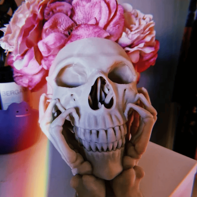 Happy Skull Horror Planter - Unique Plant Pot, Witchy/Goth Decor Bedroom & Home
