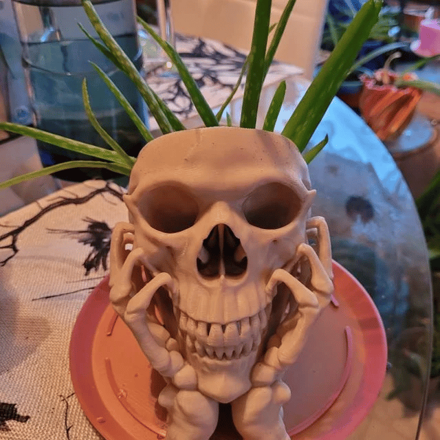 Happy Skull Horror Planter - Unique Plant Pot, Witchy/Goth Decor Bedroom & Home