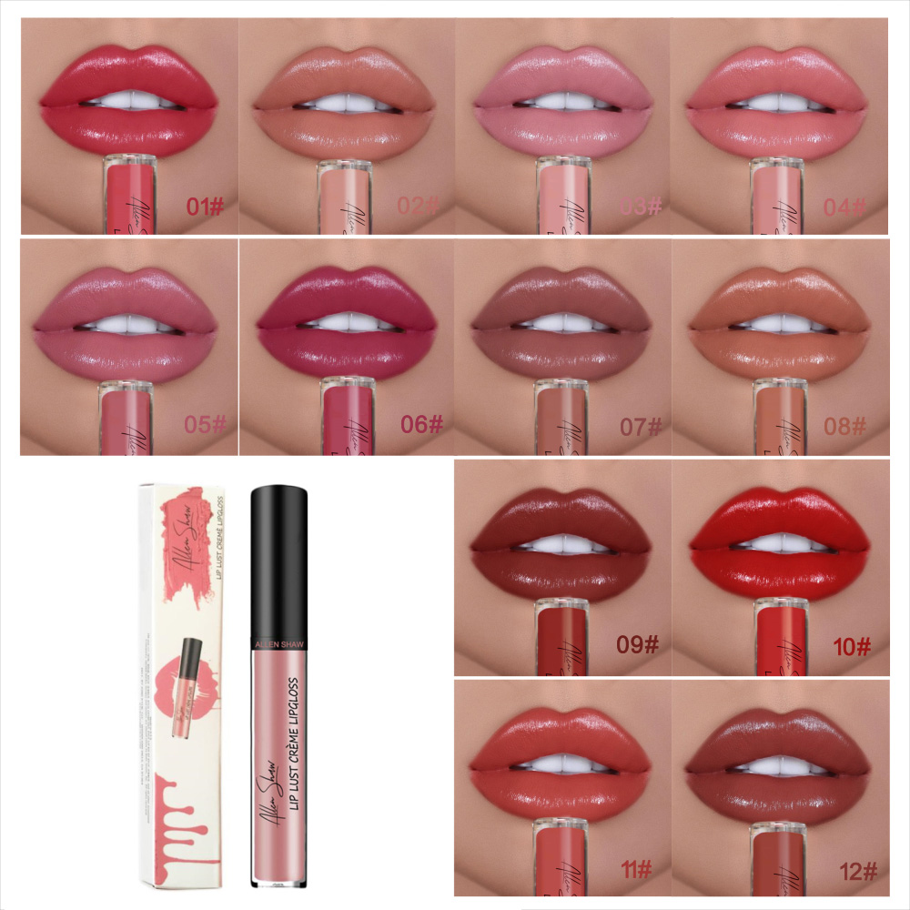 ourhomemarketTM-12 COLOR WATERPROOF LONG LASTING MOIST LIP GLOSS PLUMPER LIQUID LIPSTICK