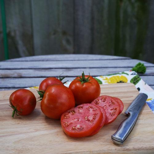 Garden Treasure Tomatoes