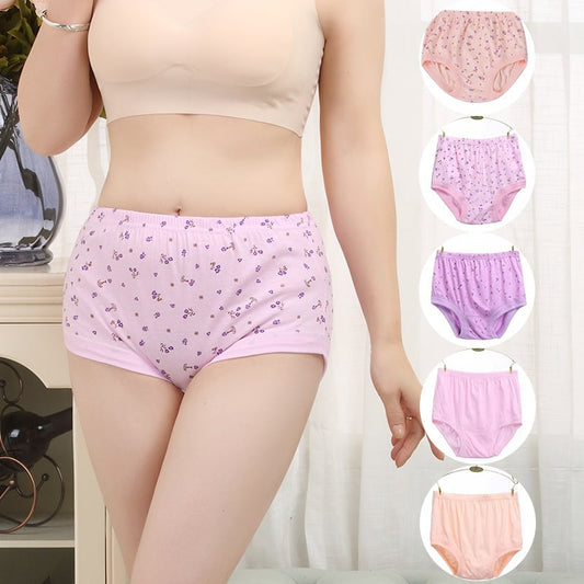 High-Waist Ladies Cotton Panties Plus Sizes💥5pcs Only $24.98 Today🔥