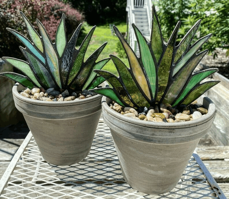 SUNCATCHER STAINED AGAVE PLANTE