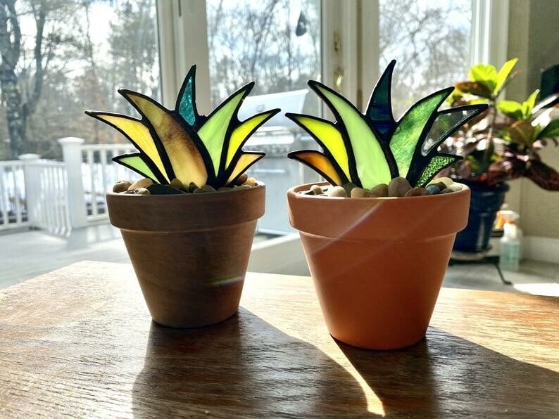 SUNCATCHER STAINED AGAVE PLANTE